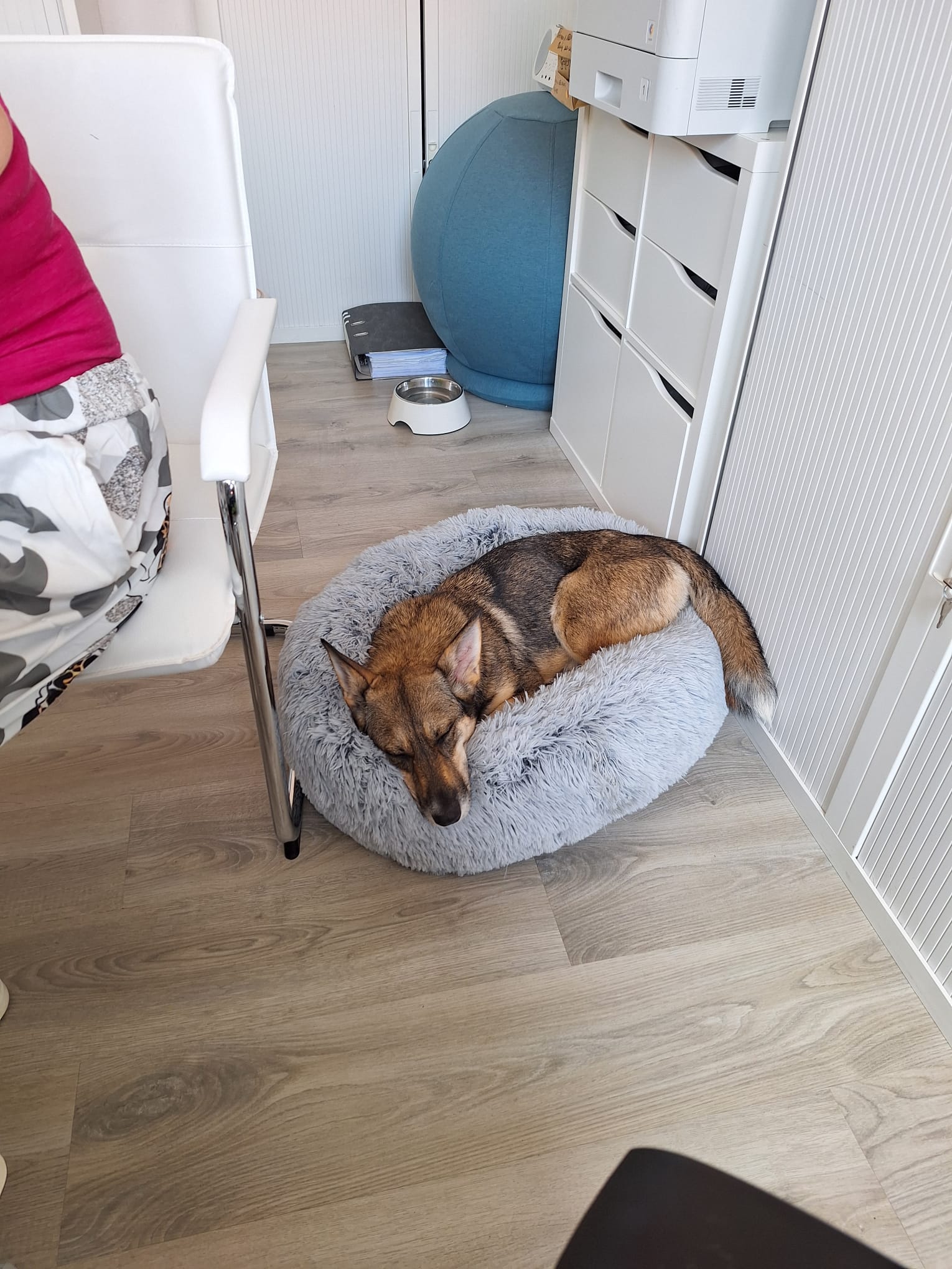 Fiona hat ihr Glück gefunden! 🐾❤️