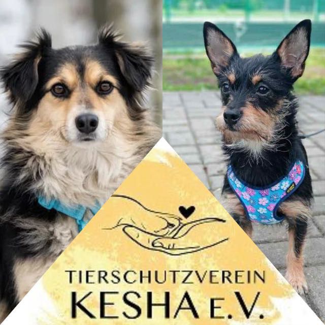 Angekommen! 🐾