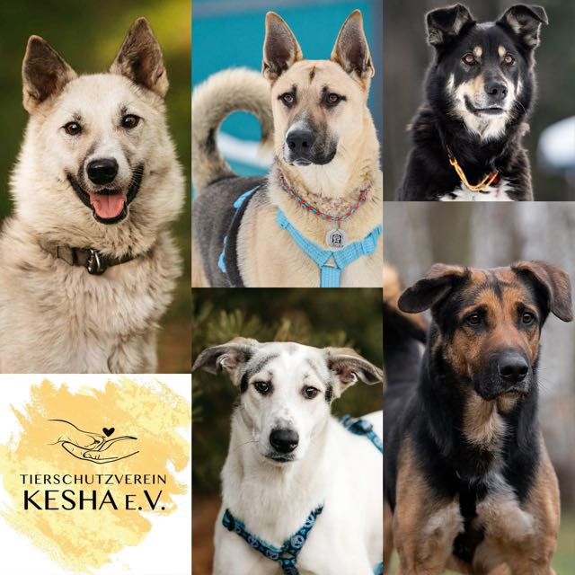 Transport am 14.01.2026 – erster Transport im neuen Jahr